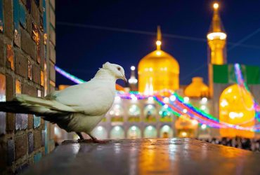 اقامت ارزان در مشهد: از سوئیت تا هتل آپارتمان