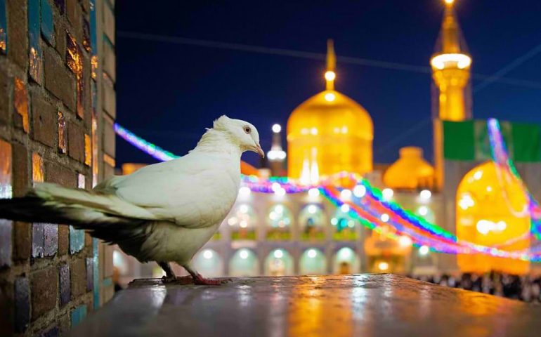 اقامت ارزان در مشهد: از سوئیت تا هتل آپارتمان