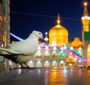 اقامت ارزان در مشهد: از سوئیت تا هتل آپارتمان